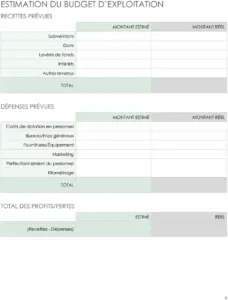 modele-plan-strategique-organisation-but-non-lucratif