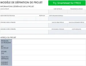 modele-planification-projet-organisation-structure-simple