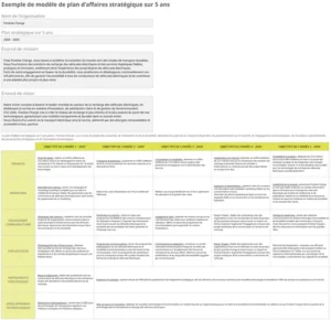 modele-planification-strategique-cinq-ans