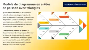 modele-presentation-diagramme-en-aretes-de-poisson