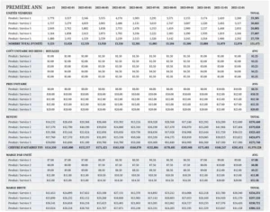 modele-previsions-financieres-3-ans