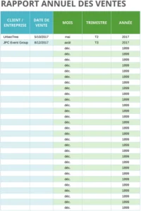 modele-rapport-annuel-ventes-analyse-financiere