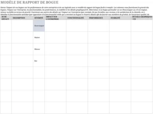 modele-rapport-bugs-gestion-projets