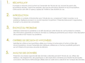 modele-rapport-etude-de-cas-simplifie-word