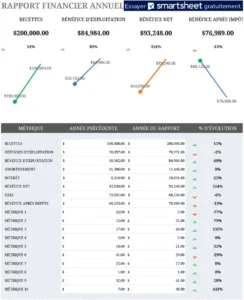 modele-rapport-financier-annuel-excel