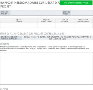 modele-rapport-hebdomadaire-statut-projet