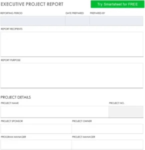 modele-rapport-projet-executif