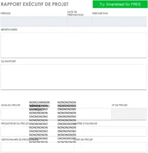 modele-rapport-projet-structure-organisation