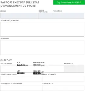 modele-rapport-suivi-projet