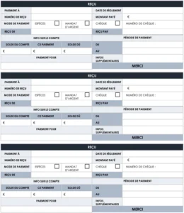 modele-recu-transaction-professionnel