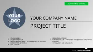 modele-resume-executif-powerpoint