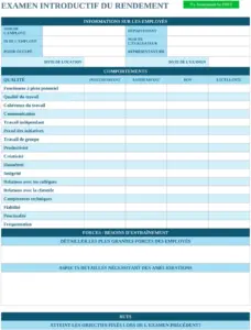 modele-revue-performance-evaluation-structure