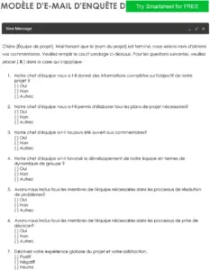 modele-sondage-enquete-equipe-word