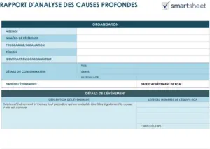 modele-word-analyse-projet-gestion-causes-profondes