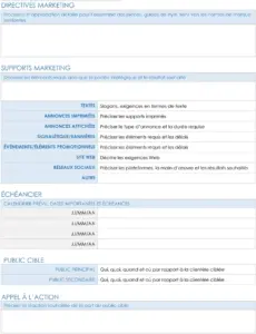 modele-word-brief-marketing-organisation-communication