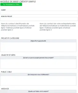 modele-word-briefs-creatifs