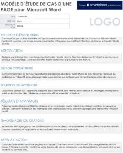 modele-word-etude-de-cas-template