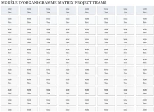 organigrammes-et-matrices-projets-modele-excel