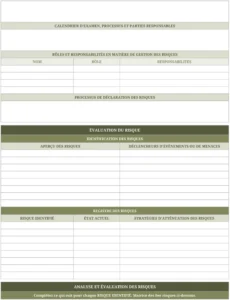 plan-gestion-risques-projet-excel