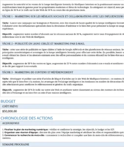 plan-marketing-numerique-excel