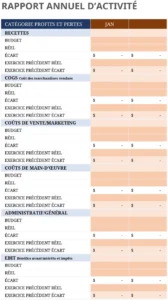 rapport-annuel-activite-modele-excel