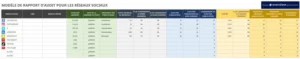 rapport-audit-medias-sociaux-enligne