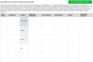rapport-bogues-gestion-suivi-type