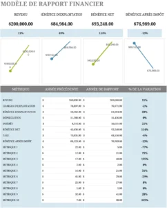 rapport-financier-gestion-analyse-logiciel-excel