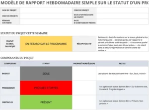 statut-hebdomadaire-projet-simple-excel