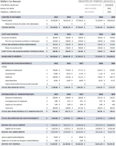 suivi-des-profits-et-pertes-annuels-modele-excel
