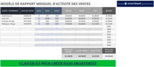 suivi-ventes-mensuelles-rapport-activité